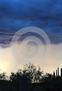 Scenic sunset landscape view of Rio Verde, Sonoran Desert, Maricopa County, Arizona