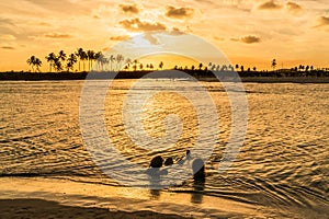 Scenic Sunset at Maracaipe Beach, near Porto de Galinhas Beach, Pernambuco, Brazil