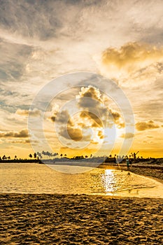 Scenic Sunset at Maracaipe Beach, near Porto de Galinhas Beach, Pernambuco, Brazil