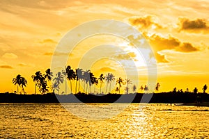 Scenic Sunset at Maracaipe Beach, near Porto de Galinhas Beach, Pernambuco, Brazil