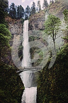 Scenic tall waterfall, Multnomah Falls, Oregon, USA