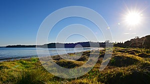 Scenic Te Haruhi Bay at Shakespear Regional Park