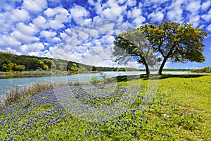 Texas Hill Country photo