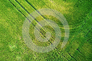 Scenic top down view of meadow in Finnish countryside