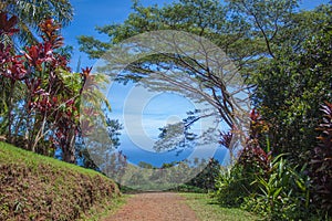 Scenic trail at Garden Of Eden Arboretum