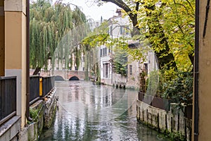 Scenic of treviso town with calnal scene