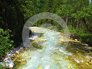 Scenic Trglavska Bistrica aline river in Vrata valley in, Slovenia photo