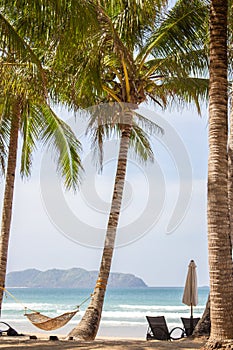 Scenic tropical beach with palm trees, hammock and chairs. Idyllic resort background. Empty resort while quarantine.