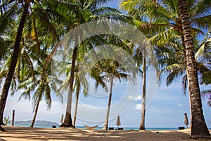 Scenic tropical beach with palm trees, hammock and chairs. Idyllic resort background. Empty resort while quarantine.