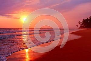 Scenic tropical beach with palm trees at sunset background, Sri Lanka