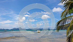 Scenic tropical panorama landscape. Palm tree and white boat on seashore during low tide. Philippines, island Palawan, El Nido.