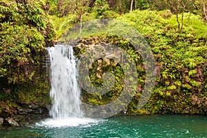 Scenic Tropical Waterfall Near Hana Maui