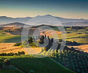 Scenic Tuscany landscape in golden morning light