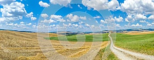 Scenic Tuscany landscape with rolling hills in Val d'Orcia, Italy