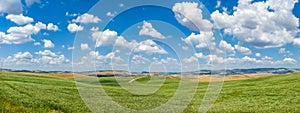 Scenic Tuscany landscape with rolling hills in Val dOrcia, Italy