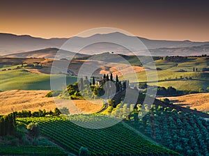 Scenic Tuscany landscape with rolling hills and valleys at sunrise