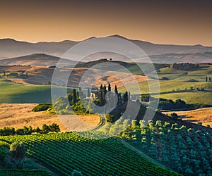 Scenic Tuscany landscape with rolling hills and valleys at sunrise