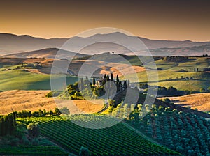 Scenic Tuscany landscape with rolling hills and valleys at sunset