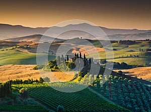 Scenic Tuscany landscape with rolling hills and valleys at sunset photo