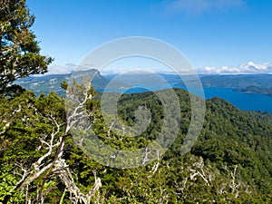 Scenic Urewera NP with Lake Waikaremoana in NZ