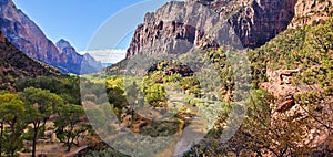 Zion Canyon Morning From Emerald Pools Trail