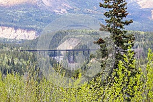 Scenic view of the Alaska railroad bridge in dense fir forest and mountains on the background
