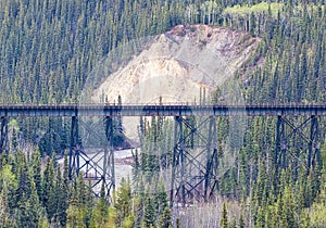 Scenic view of the Alaska railroad bridge in the middle of dense fir forest