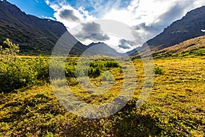 Scenic view of Alaskan Flattop Glen Alps in Summer