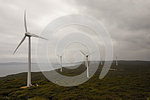 A scenic view of Albany Wind Farm in a cloudy weather