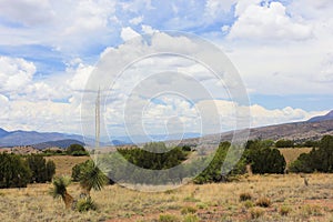 A Scenic View from Aldo Leopold Vista