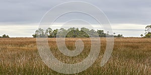 Scenic View along Florida`s Gulf Coast