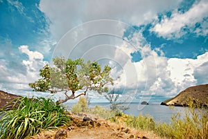 Scenic view of Anawangin Cove, Zambales, Philippines
