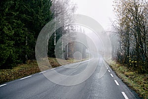 Scenic view of an asphalt road in a foggy forest in Toten, Norway in late October