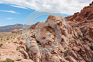 Scenic view of Aztec sandstone slickrock outcrop on the Calico Hills Tank Trail, Red Rock Canyon National Conservation Area