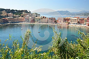 Scenic view of Baia del Silenzio. Sestri Levante. Liguria. Italy