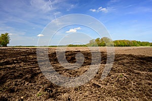 Scenic view of a barren landscape in Wortel, Hoogstraten, Belgium photo