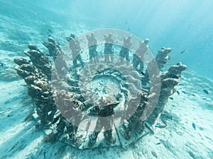 Scenic view of Bask Nest Underwater sculptures Gilli Mino photo
