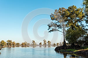 Scenic view of the Bayous in Louisiana