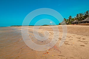 Scenic view of beach against resort in Manda Island, Lamu, UNESCO World Heritage Site in Kenya