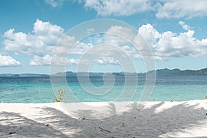 Scenic view of a beautiful beach with a shadow of a palm tree on the sand