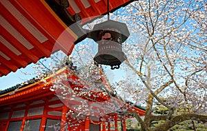 Scenic view of a beautiful corner in Heian Jingu Shrine in Kyoto Japan, with a traditional Japanese lantern hanging under wooden