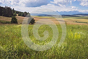 Scenic view of beautiful countryside in Slovakia. Meadow and forest by Slovak Paradise with a view of Tatra mountains in