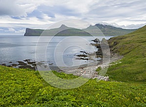 Scenic view on beautiful Hornbjarg cliffs in west fjords, remote nature reserve Hornstrandir in Iceland, with lush green grass mea photo