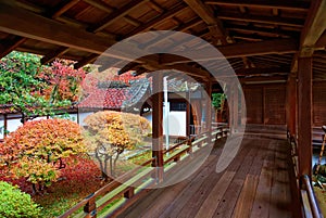 Scenic view of a beautiful Japanese courtyard garden thru a wooden bridge corridor  Kairou