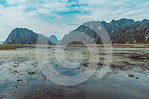 Scenic view of beautiful karst scenery and rice paddy fields