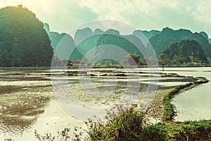 Scenic view of beautiful karst scenery and rice paddy fields