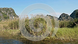 Scenic view of beautiful karst scenery, wetlands