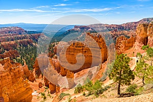 Scenic view of beautiful red rock hoodoos and the Amphitheater from Sunset Point, Bryce Canyon National Park, Utah, United States photo