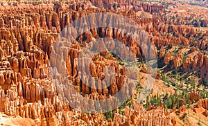 Scenic view of beautiful red rock hoodoos and the Amphitheater from Sunset Point, Bryce Canyon National Park, Utah, United States