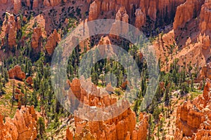 Scenic view of beautiful red rock hoodoos and the Amphitheater from Sunset Point, Bryce Canyon National Park, Utah, United States